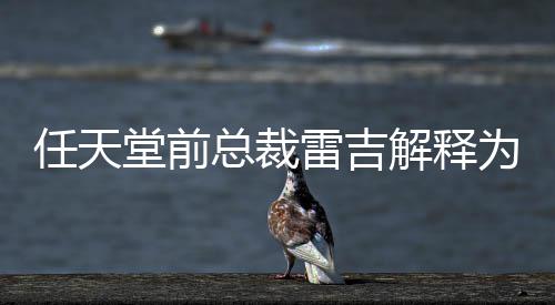 不打堂前堂游解释乎从雷吉总裁折戏几为何任天任天